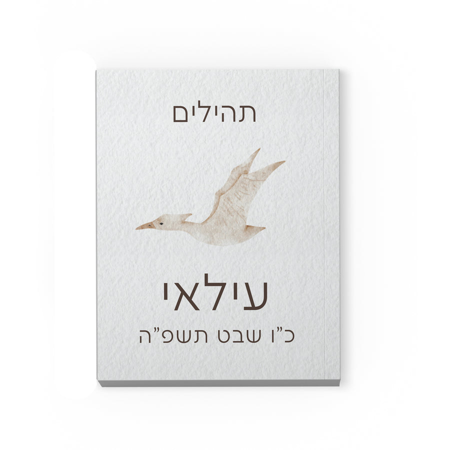 ??? ?????? - ???????? – ???? ?????? ??? ??? ®???? ????