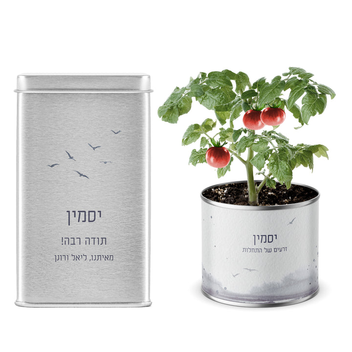 ???? ??"? ???? - ???? ????? - ???? ?????? - ?? ????? – ???? ?????? ??? ??? ®???? ????