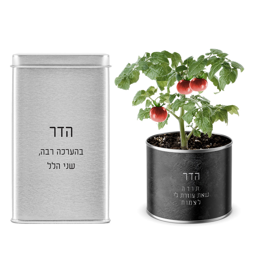 ???? ??"? ???? - ???? ????? - ???? ?????? - ????? – ???? ?????? ??? ??? ®???? ????