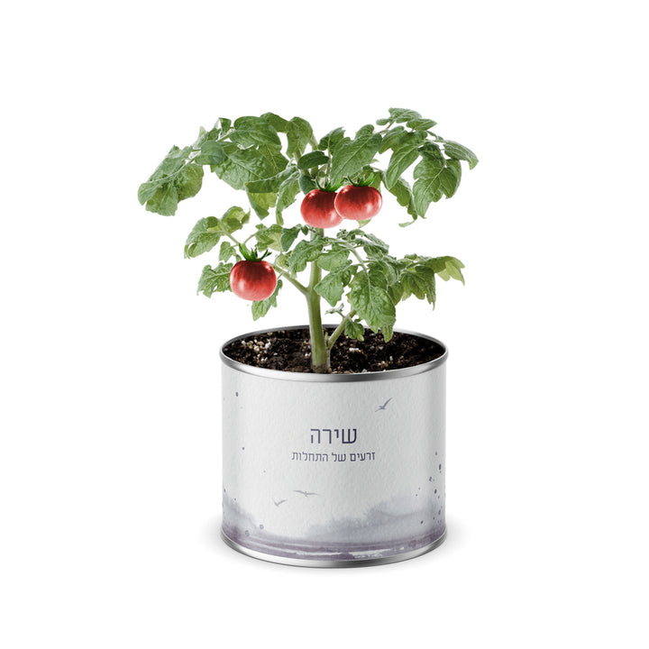 ???? ??"? ???? - ???? ????? - ???? ?????? - ?? ????? – ???? ?????? ??? ??? ®???? ????