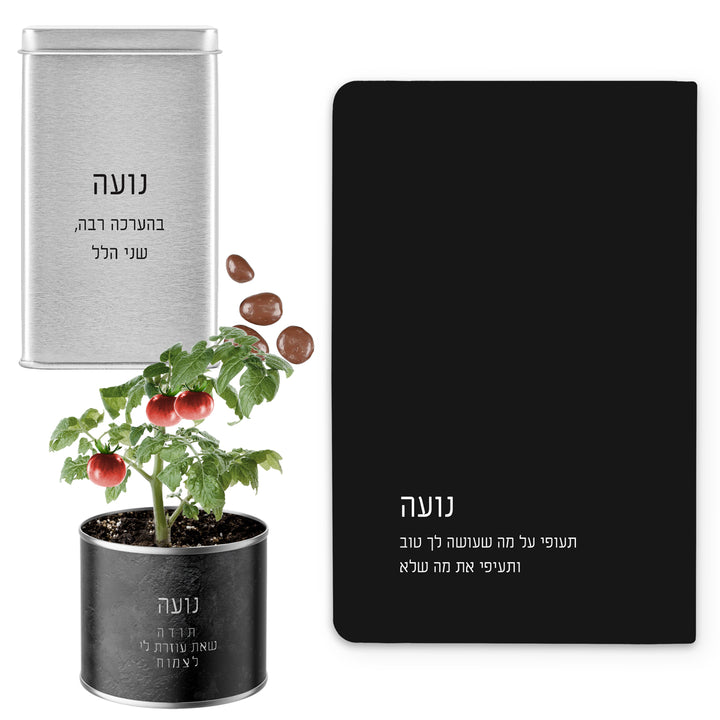 ???? ??"? ???? - ???? ????? - ????? - ???? ?????? - ????? – ???? ?????? ??? ??? ®???? ????