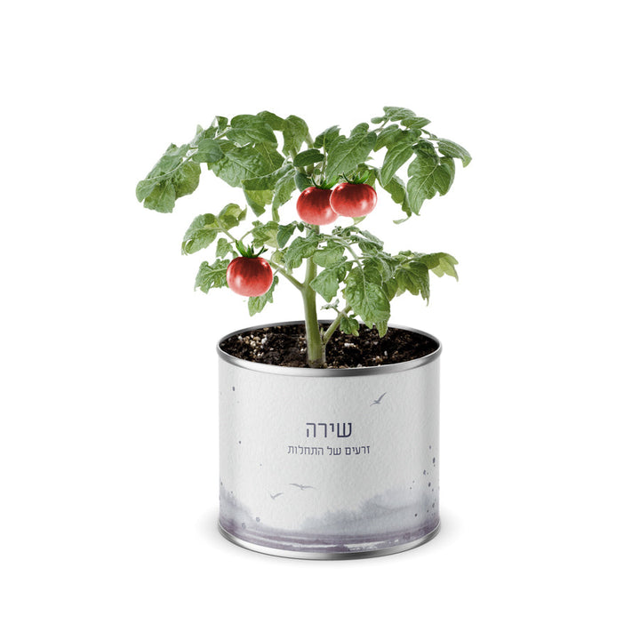 ???? ??"? ???? - ???? ????? - ????? - ???? ?????? - ?? ????? – ???? ?????? ??? ??? ®???? ????