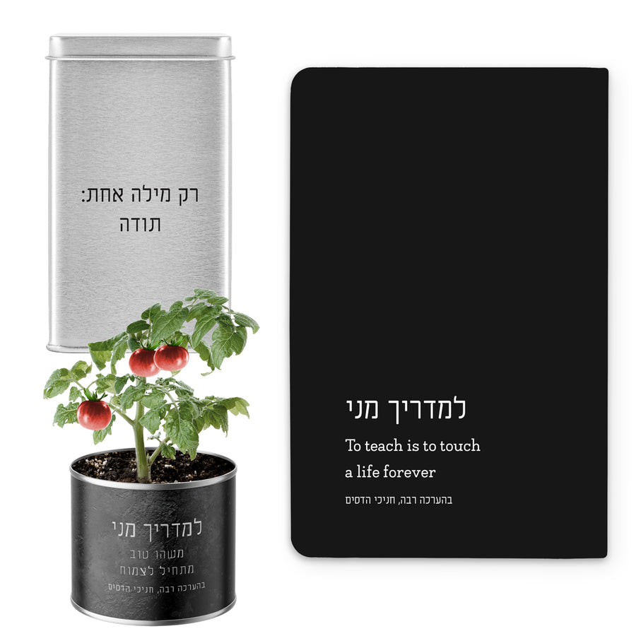 ???? ???? ????? - ????? - ???? - ???? ?????? - ????? – ???? ?????? ??? ??? ®???? ????