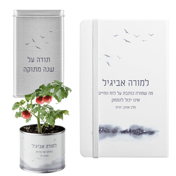 ???? ???? ????? - ????? - ???? - ???? ?????? - ?? ????? – ???? ?????? ??? ??? ®???? ????