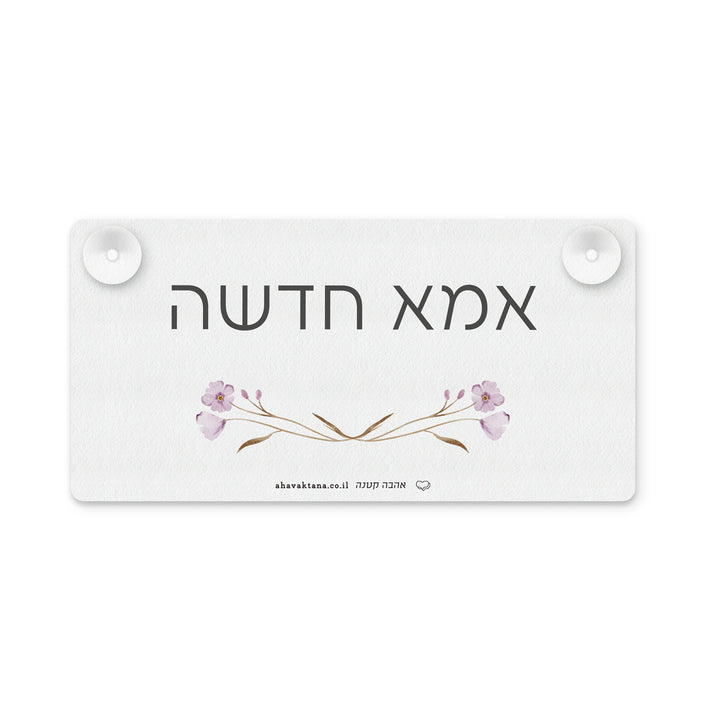 ??? ???? - ????? – ???? ?????? ??? ??? ®???? ????