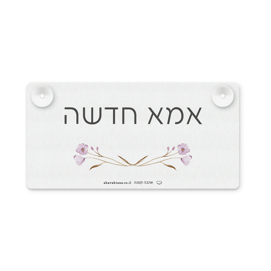 ??? ???? - ????? – ???? ?????? ??? ??? ®???? ????