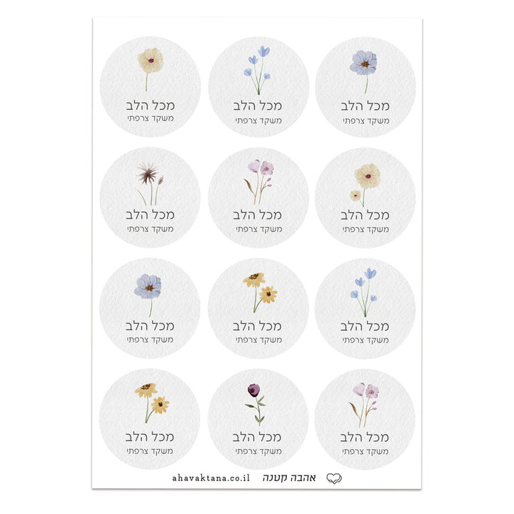 ?????? ??????? - ????? – ???? ?????? ??? ??? ®???? ????