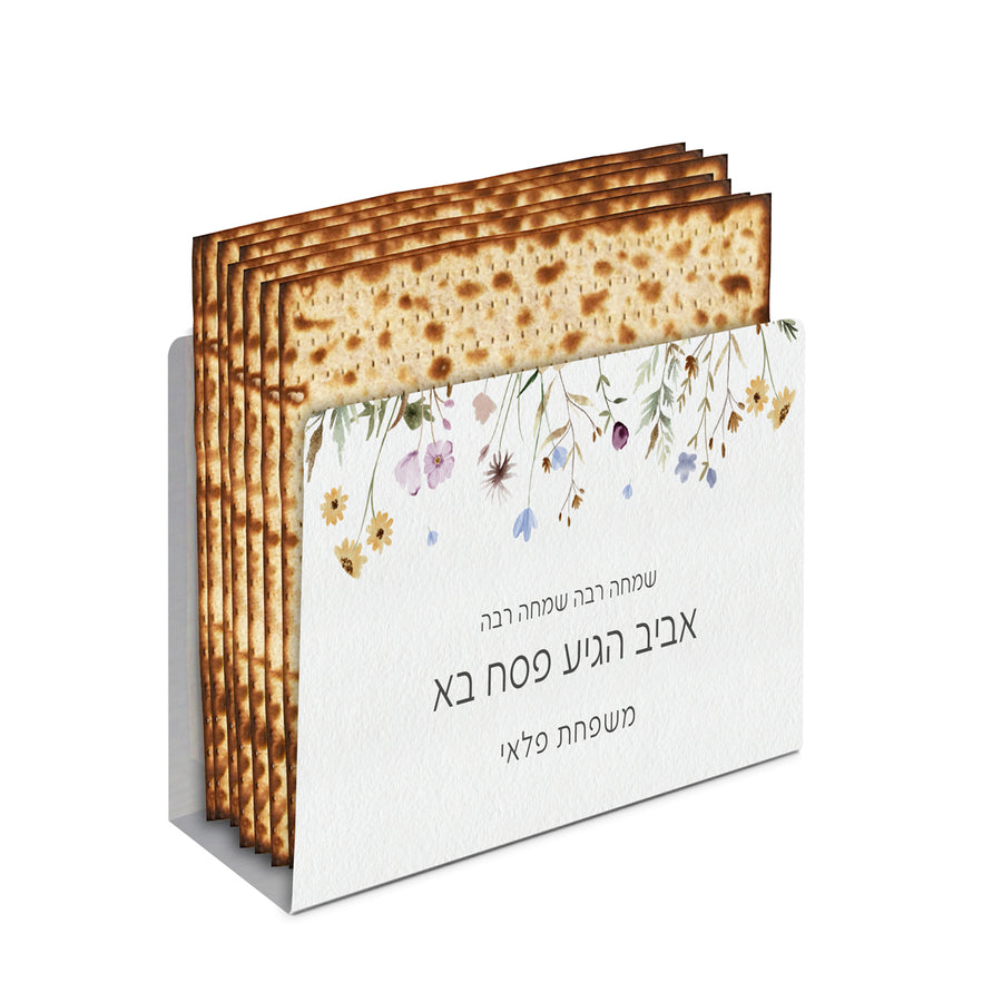 ???? ????? - ??? - ????? – ???? ?????? ??? ??? ®???? ????