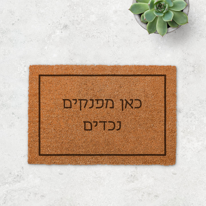 ???? ????? ???? - GROO – ???? ?????? ??? ??? ®???? ????