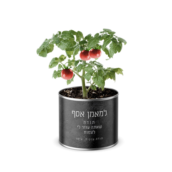 ???? ???? ????? - ????? - ???? - ???? ?????? - ????? – ???? ?????? ??? ??? ®???? ????