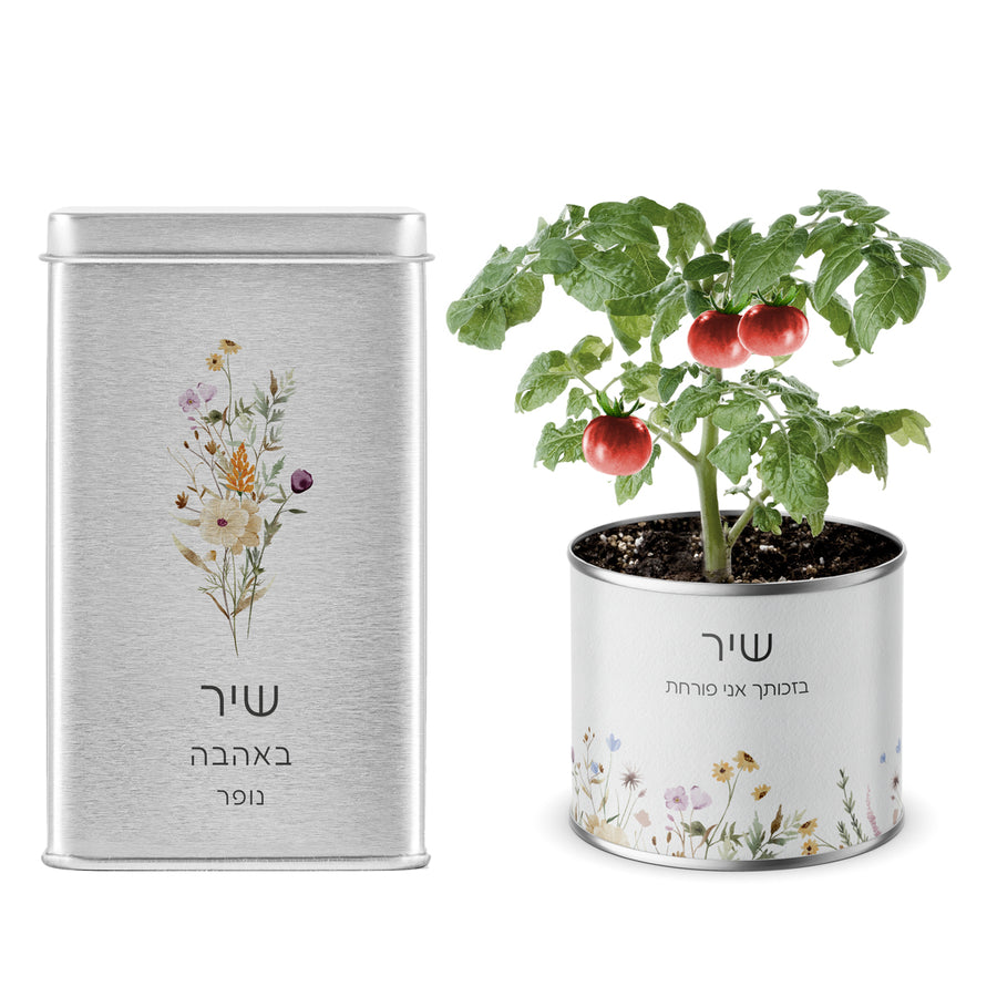 ???? ??"? ???? - ???? ????? - ???? ?????? - ????? – ???? ?????? ??? ??? ®???? ????