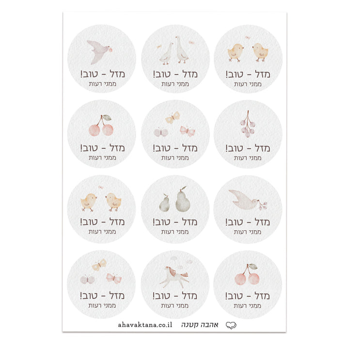 ?????? ??????? - ????? – ???? ?????? ??? ??? ®???? ????