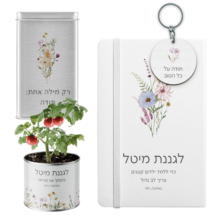 ???? ???? ????? - ????? - ???? - ????? ?????? - ???? ?????? - ????? – ???? ?????? ??? ??? ®???? ????