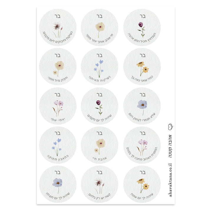 ?????? ???????' - ????? – ???? ?????? ??? ??? ®???? ????