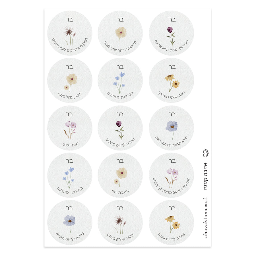 ?????? ???????' - ????? – ???? ?????? ??? ??? ®???? ????