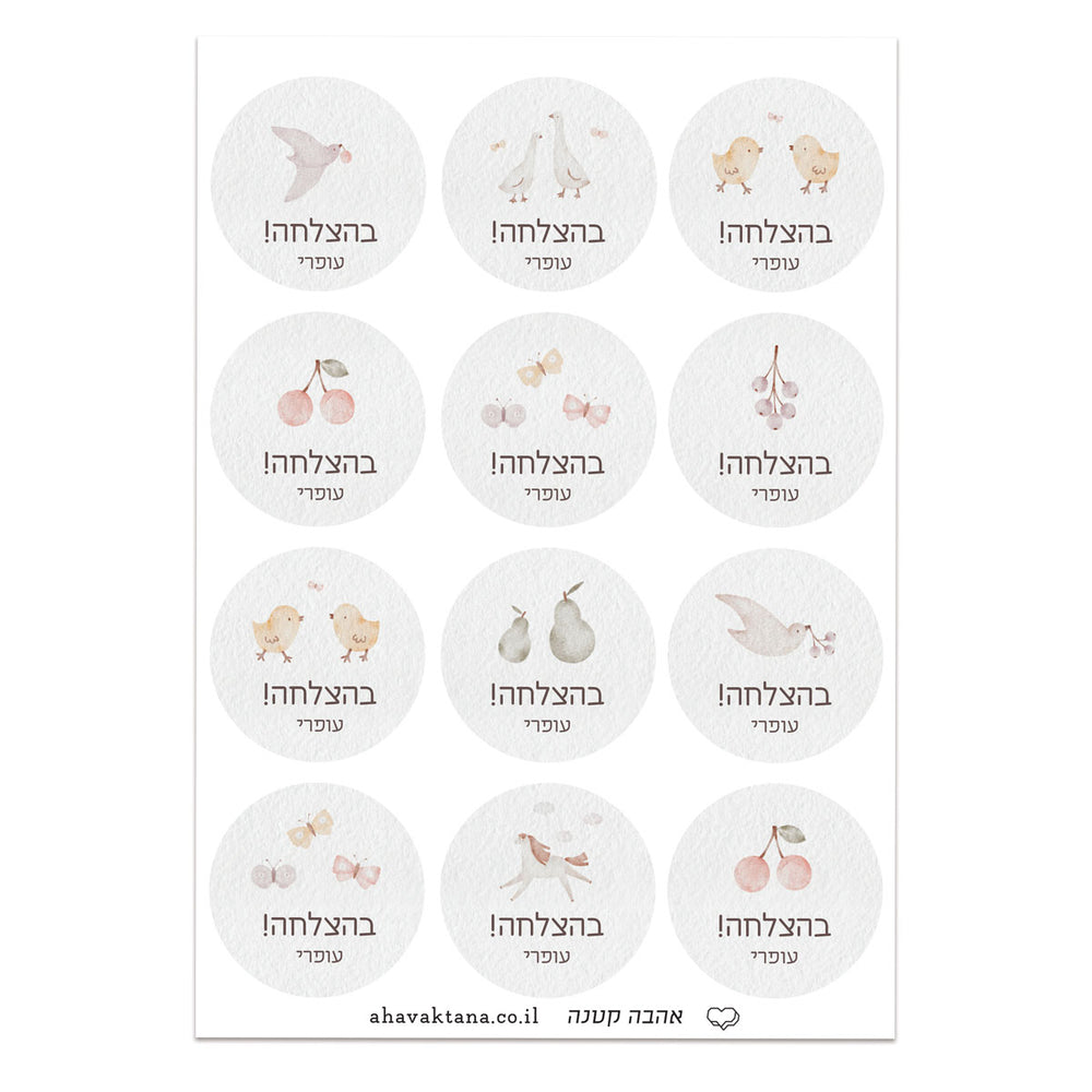 ?????? ??????? - ????? – ???? ?????? ??? ??? ®???? ????