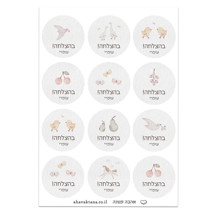 ?????? ??????? - ????? – ???? ?????? ??? ??? ®???? ????