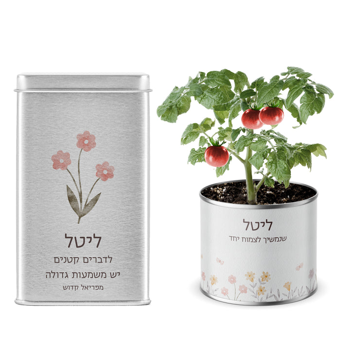 מארז לט"ו בשבט - עציץ בפחית - מארז שוקולד - שלווה