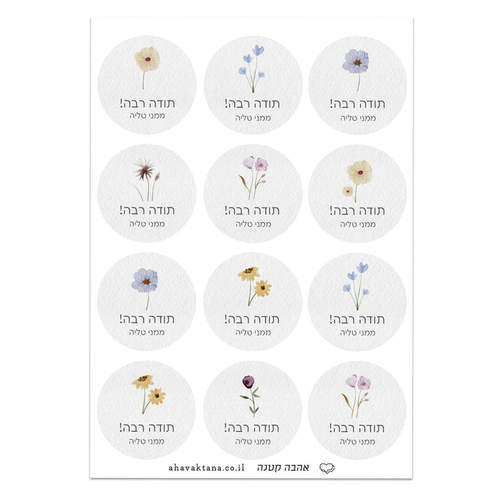 ?????? ??????? - ????? – ???? ?????? ??? ??? ®???? ????