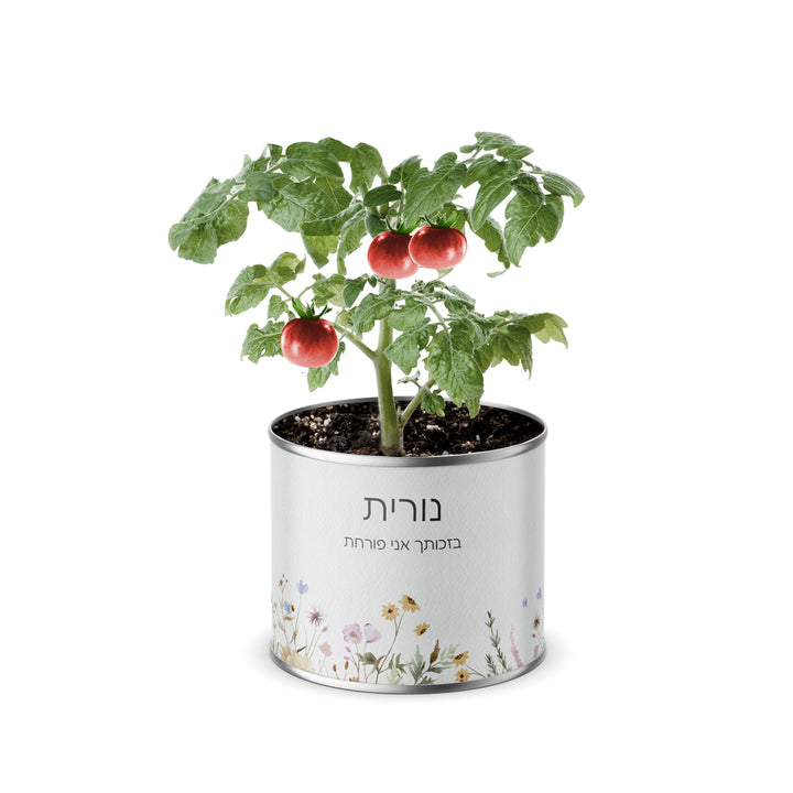 ???? ??"? ???? - ???? ????? - ????? - ???? ?????? - ????? – ???? ?????? ??? ??? ®???? ????