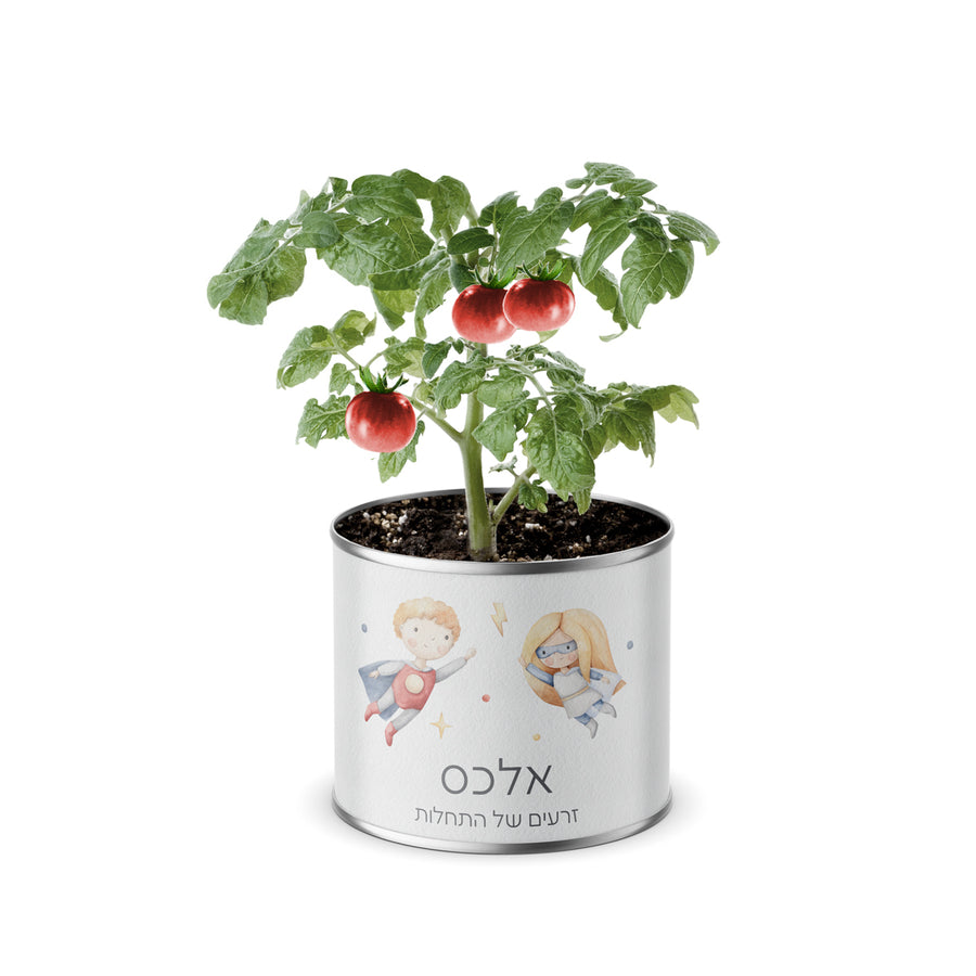 ???? ????? - ?????? ?? – ???? ?????? ??? ??? ®???? ????