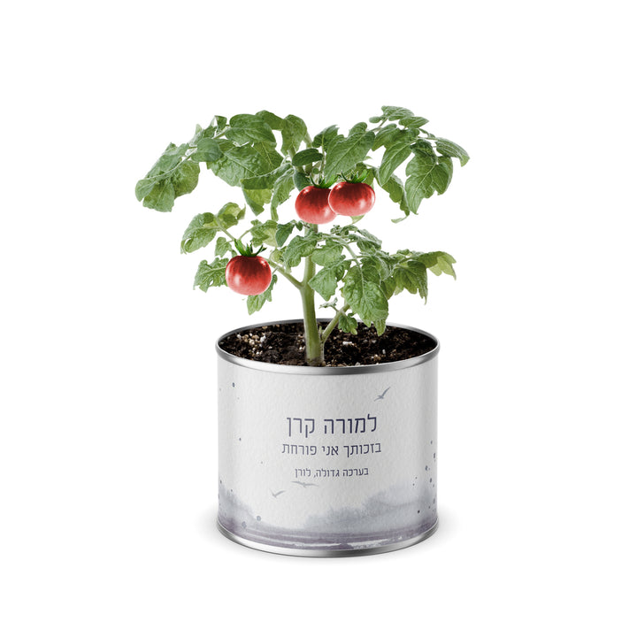 ???? ???? ????? - ????? - ???? - ????? ?????? - ???? ?????? - ?? ????? – ???? ?????? ??? ??? ®???? ????