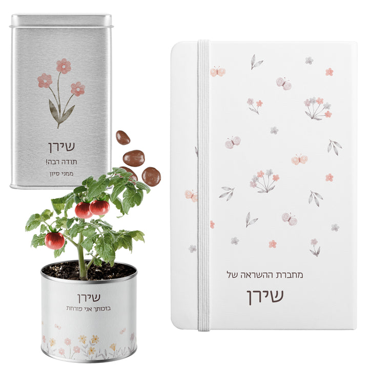 מארז מתנה למורה - מחברת - עציץ - מארז שוקולד - שלווה