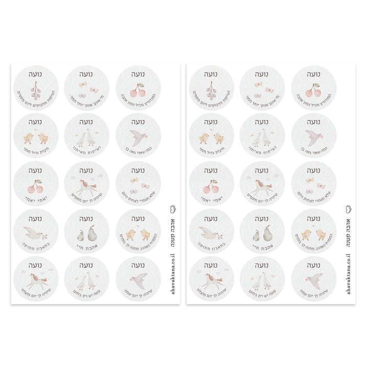 ?????? ???????' - ????? – ???? ?????? ??? ??? ®???? ????