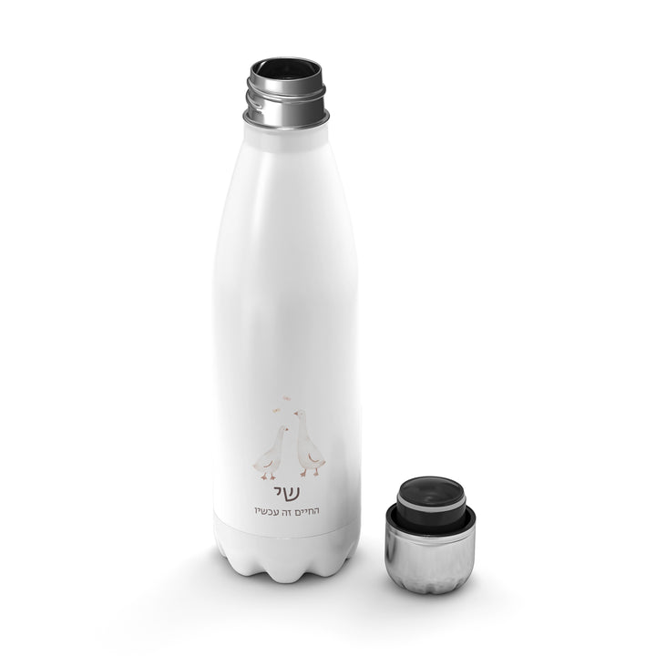 ????? ???? ??????? - ????? – ???? ?????? ??? ??? ®???? ????