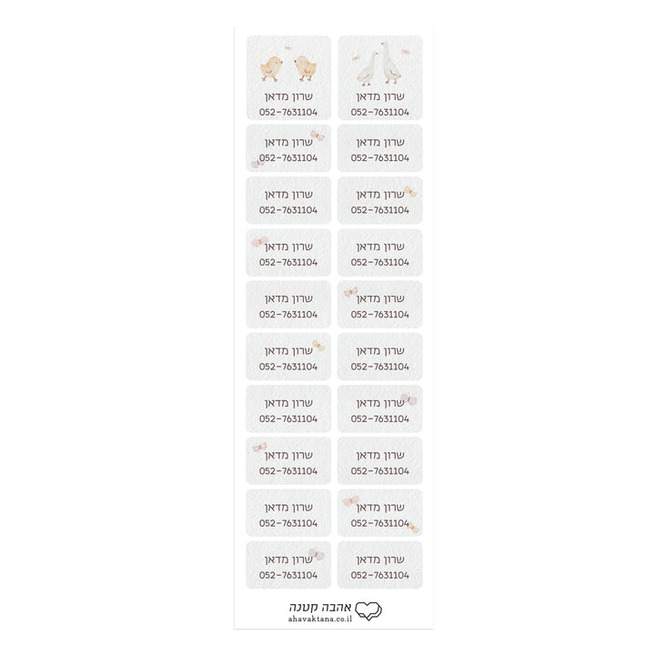 ?????? ????? - ????? – ???? ?????? ??? ??? ®???? ????