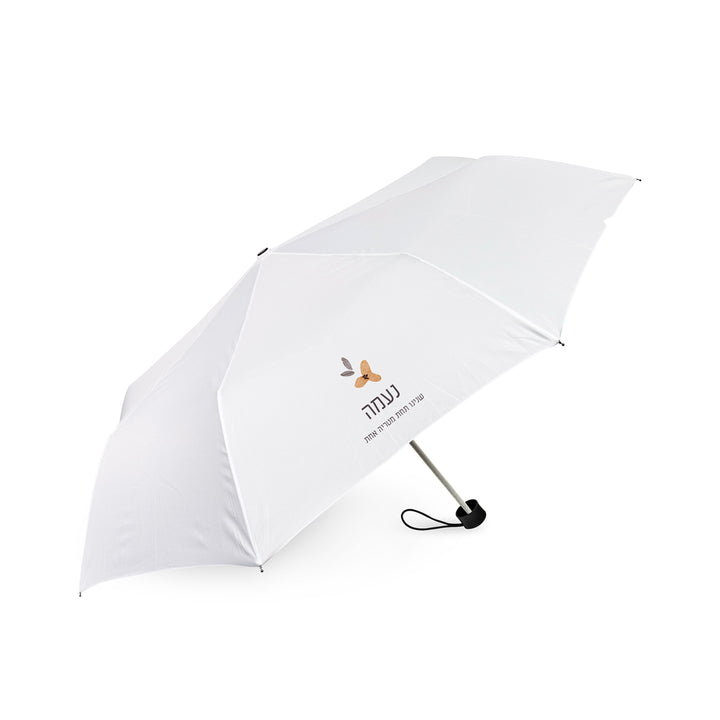 ?????? ?????? - ???? – ???? ?????? ??? ??? ®???? ????