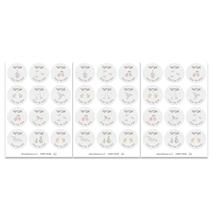 ?????? ???/??? ?? ??? (???? ????) - ????? – ???? ?????? ??? ??? ®???? ????