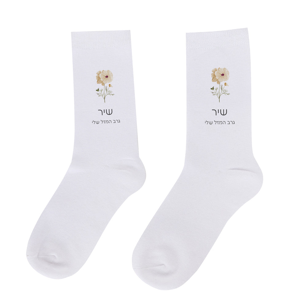 ?????? ????? ???? ?????? - ????? – ???? ?????? ??? ??? ®???? ????