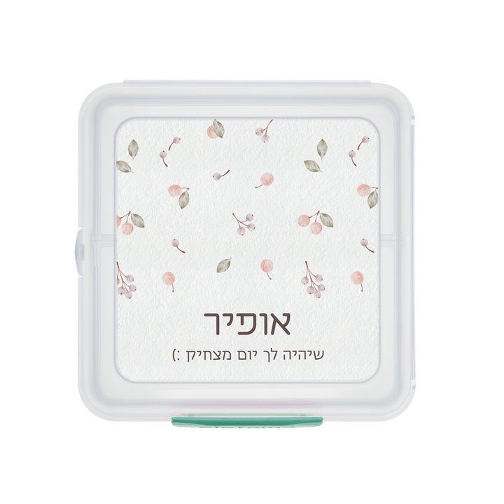 קופסת אוכל סנדוויץ' Sistema - שלווה