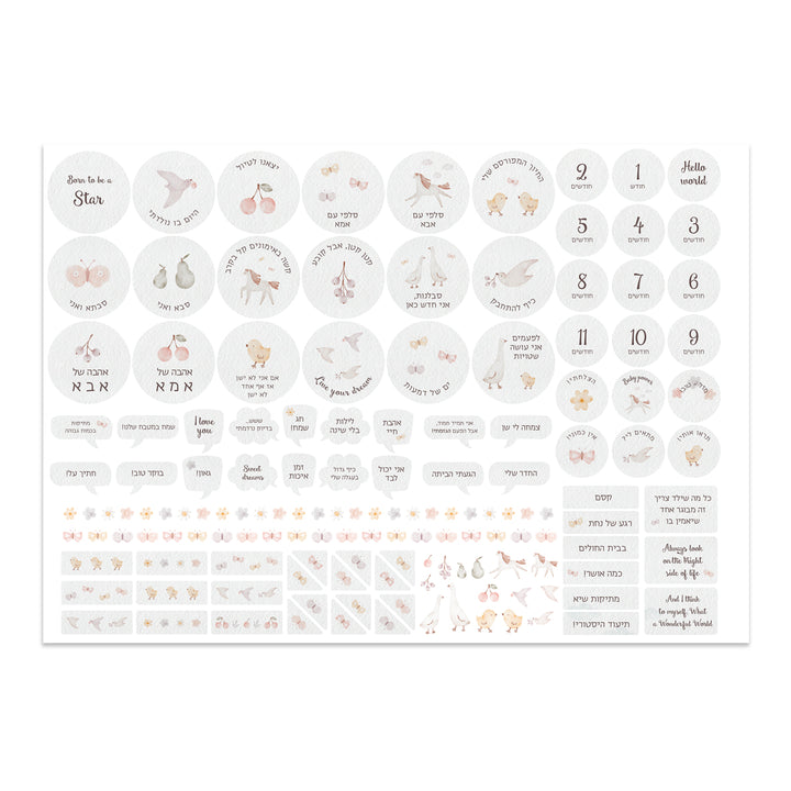 מארז מתנה ליולדת ספר השנה הראשונה + מחזיק מוצץ + מדבקות - שלווה