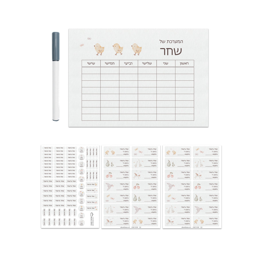 ???? ???? ??? - ????? – ???? ?????? ??? ??? ®???? ????