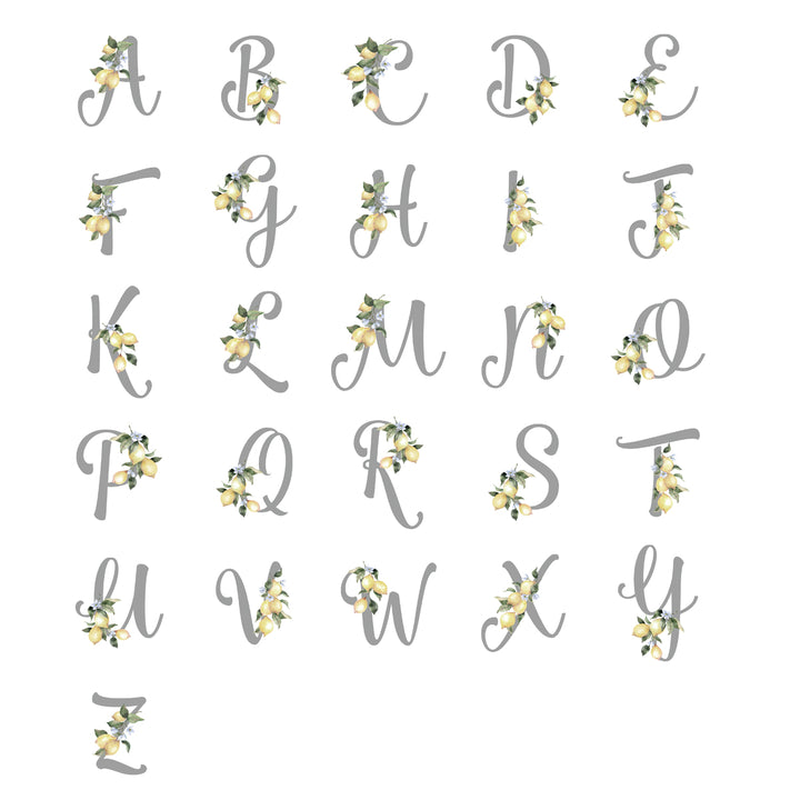 בקבוק טרמי נירוסטה - לימונדה - אות