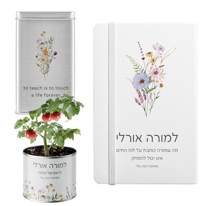 ???? ???? ????? - ????? - ???? - ???? ?????? - ????? – ???? ?????? ??? ??? ®???? ????