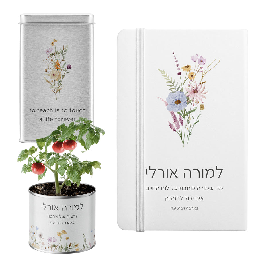 ???? ???? ????? - ????? - ???? - ???? ?????? - ????? – ???? ?????? ??? ??? ®???? ????