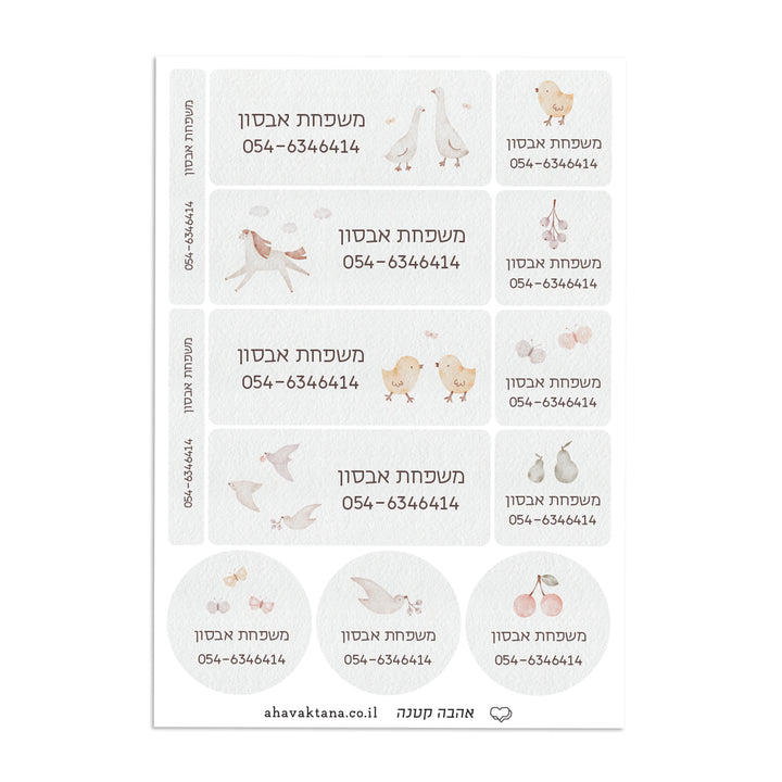 ?????? XL - ????? – ???? ?????? ??? ??? ®???? ????