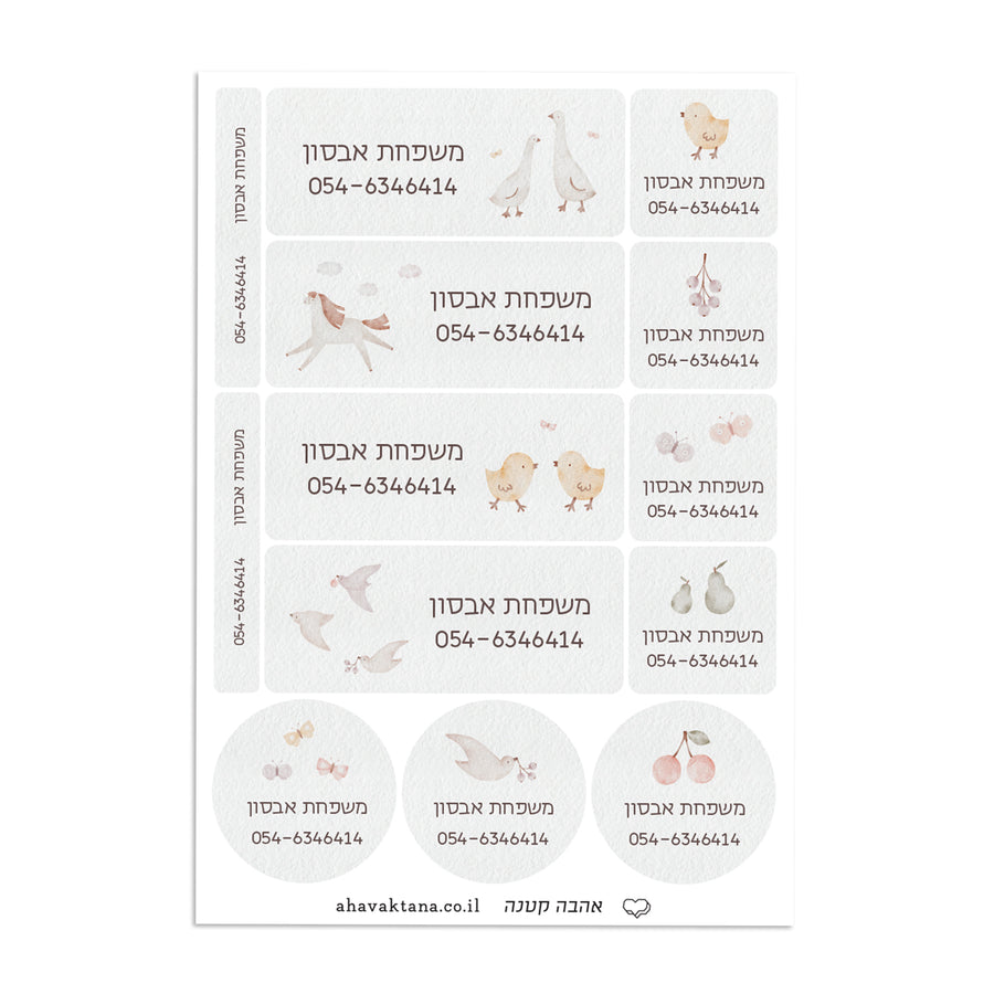 ?????? XL - ????? – ???? ?????? ??? ??? ®???? ????