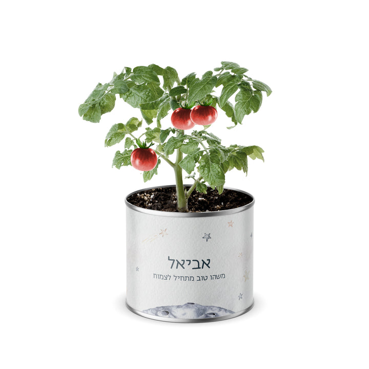 ???? ????? - ?????? – ???? ?????? ??? ??? ®???? ????