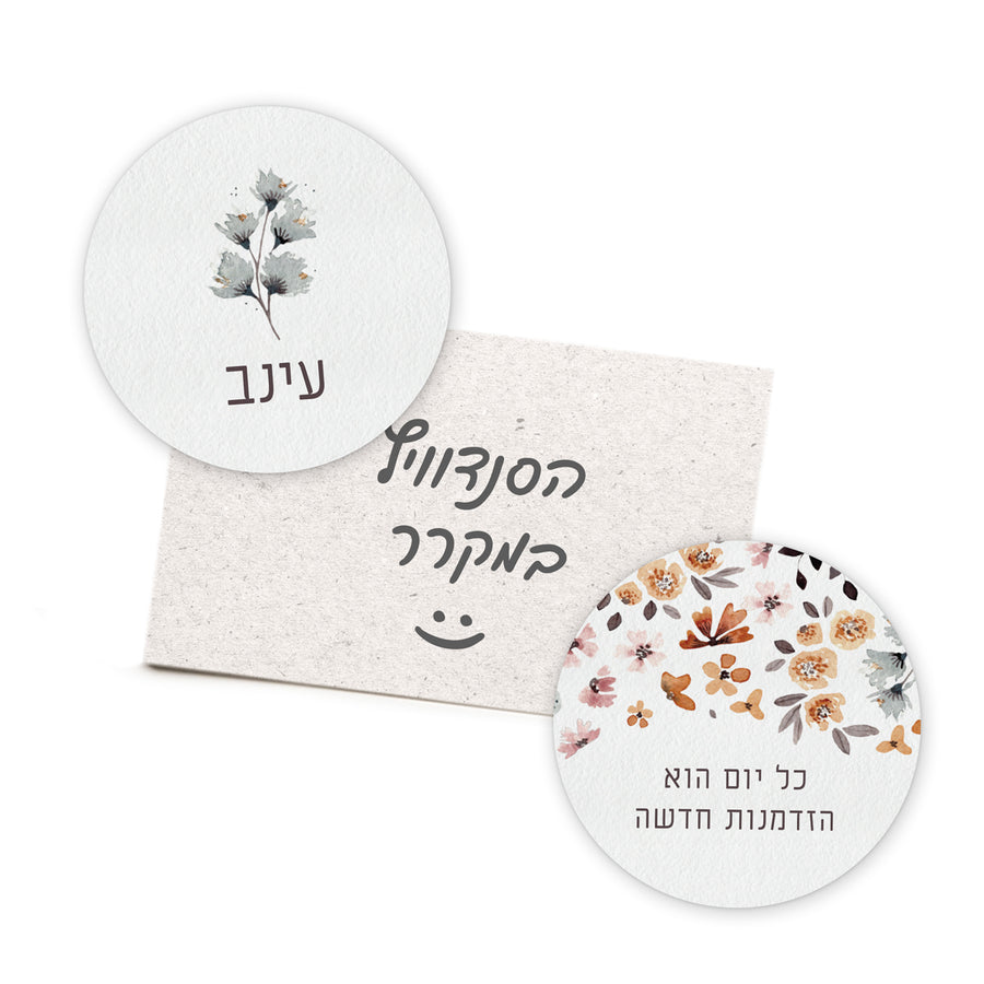 ???? 2 ?????? ?????? ???? - ???? – ???? ?????? ??? ??? ®???? ????