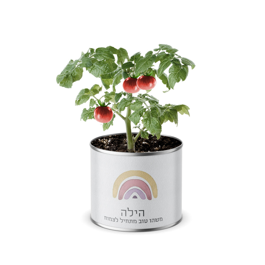 ???? ????? - ??? ???? – ???? ?????? ??? ??? ®???? ????