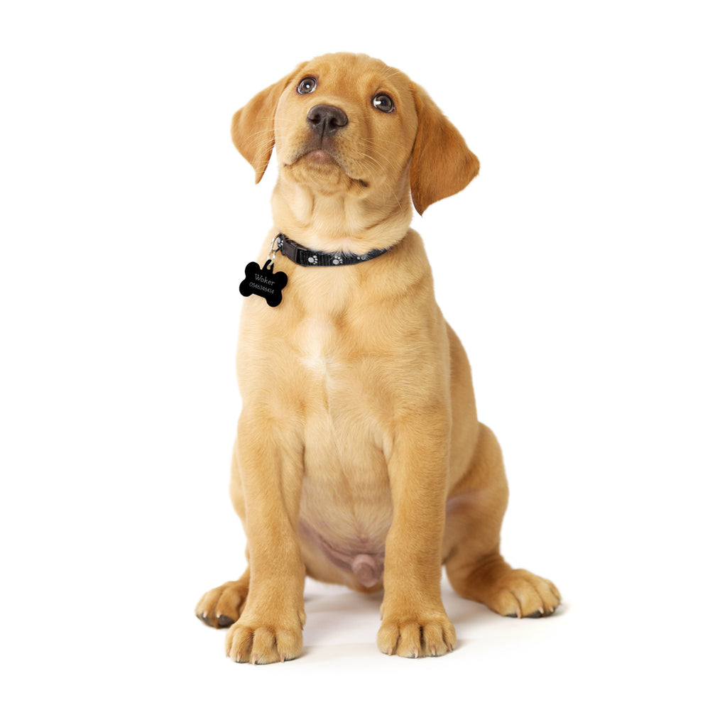 ?? ?? ???? – ???? ?????? ??? ??? ®???? ????