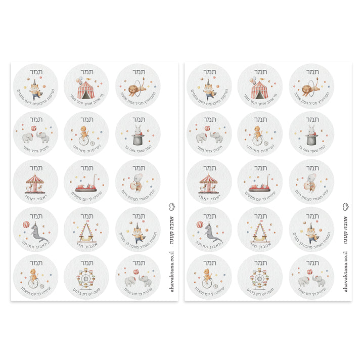 ?????? ???????' - ???? – ???? ?????? ??? ??? ®???? ????