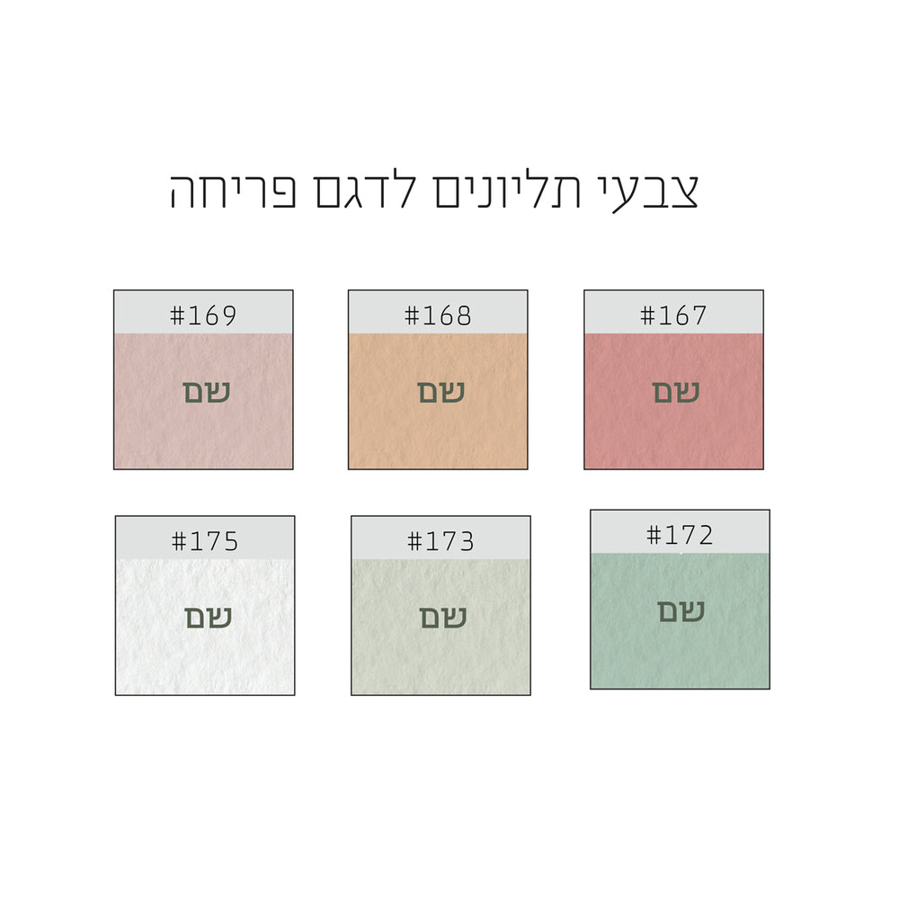 ????? ??????? ???? ???? - ????? ??? – ???? ?????? ??? ??? ®???? ????