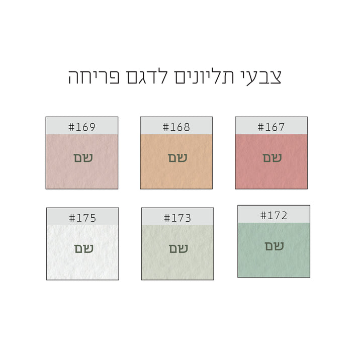 ????? ??????? ???? ???? - ????? ??? – ???? ?????? ??? ??? ®???? ????