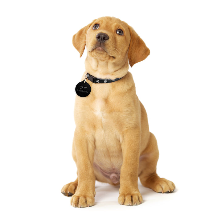 ?? ?? ???? – ???? ?????? ??? ??? ®???? ????